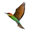 feng3d