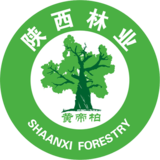 相关推荐