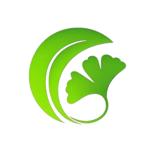 白果AI论文 - 万字初稿一键生成，低查重高质量工具