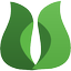 斑竹养生