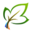 江西川淼园林绿化工程有限公司 | 园艺设计 | 园林工程 | 植物造型