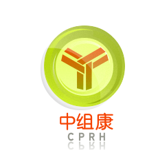 相关推荐