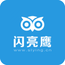 闪亮鹰