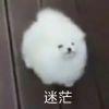 给岁月以文明