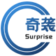 奇袭网-出其不意