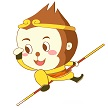 大星网络