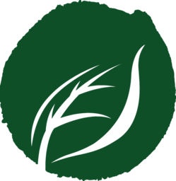 相关推荐