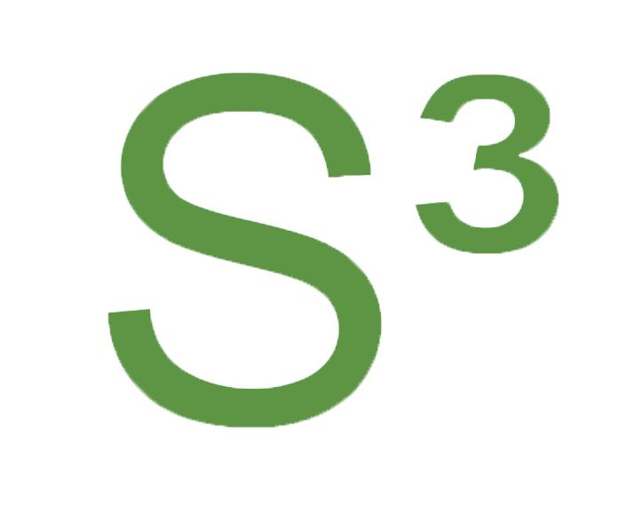 S³ system