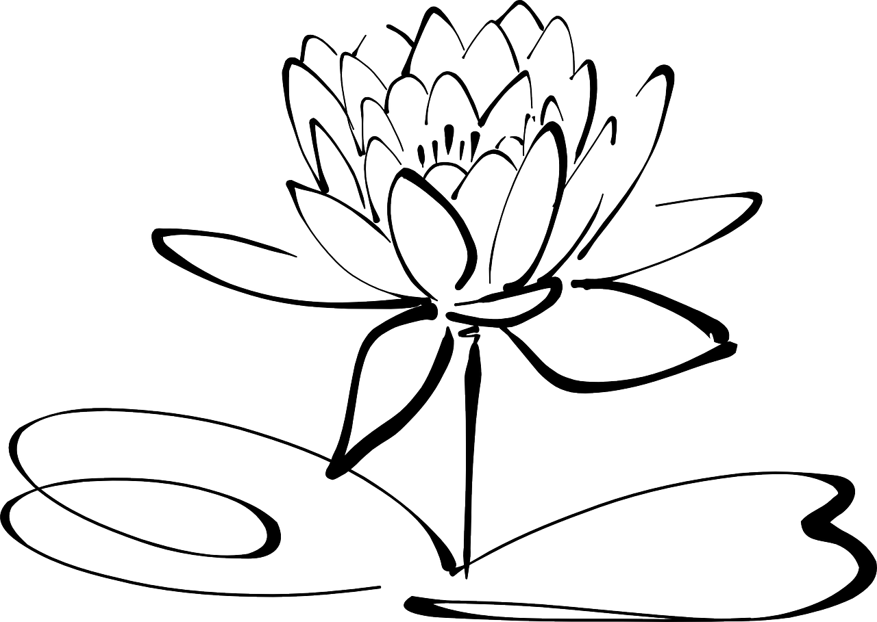 善行网 – 收集一切善行之文章