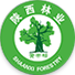 相关推荐
