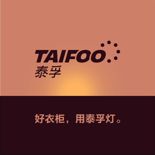 广东泰孚照明科技有限公司