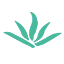 钛码科技