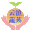 意大利生菜_黄白_上海青_嵩明县裕隆蔬菜种植园