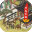 郑榷网络