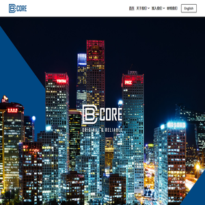 B-CORE 北京毕括信息咨询有限公司