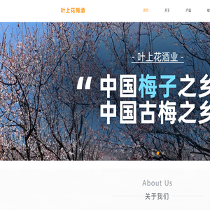 梅子酒,青梅酒,花果香味白酒 - 叶上花