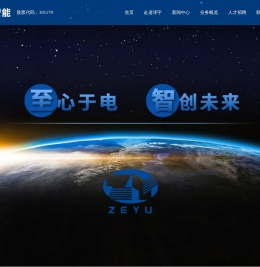 江苏泽宇智能电力股份有限公司