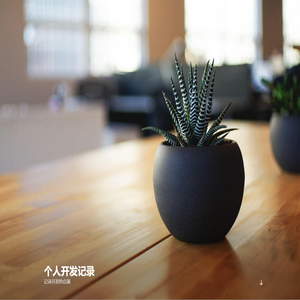 个人开发记录 – 记录开发的点滴