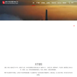 富阳（中国）控股
