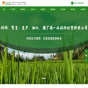 安徽荃银欣隆种业有限公司_其它_杂交水稻