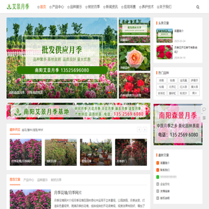 南阳森景月季基地 - 树状月季批发,盆栽月季价格