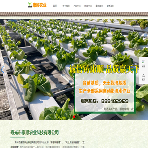 草莓种植槽,无土栽培槽,立体种植槽,寿光市康顺农业科技有限公司