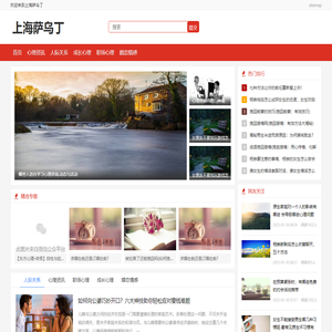 上海萨乌丁电子科技有限公司