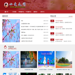 小麦之网——麦志彬摄影网