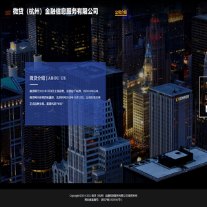 微贷（杭州）金融信息服务有限公司