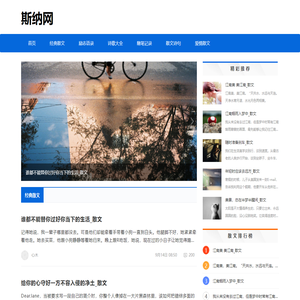 斯纳手游网