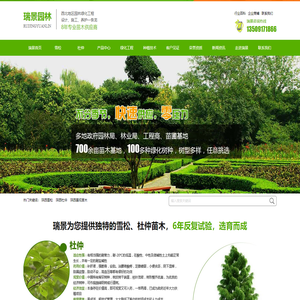 陕西雪松,陕西杜仲,陕西景观苗木|陕西瑞景园林绿化有限公司