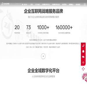 大连龙采科技