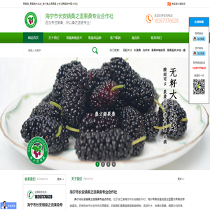 果桑|果桑苗|果桑苗品种|果桑苗批发|果桑苗价格|浙江果桑苗|果桑苗基地 - 海宁市长安镇桑之语果桑专业合作社