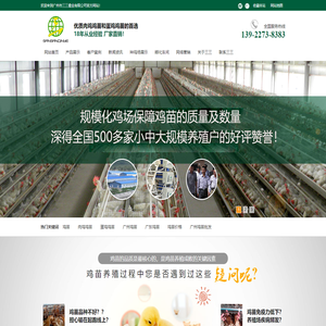 鸡苗，广州|广东鸡苗_肉鸡鸡苗_蛋鸡鸡苗_鸡苗孵化场-三三禽业鸡苗厂