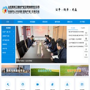 山东黄河三角洲产权交易有限责任公司