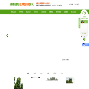益阳市赫山区远景园林经营部_益阳苗木种植|园林绿化服务|香樟树|桂花|罗汉松销售