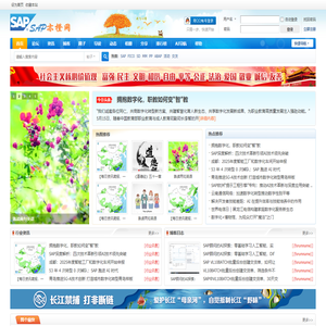 首页 - SAP亦橙网 -  SAP及ERP人的家园！