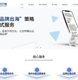 领英运营推广_海外社媒营销公司-杭州别样价值