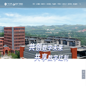 数字广西集团有限公司