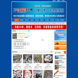 湖南养蛇基地_养蛇场_湖南省益阳市给力梦想养蛇场