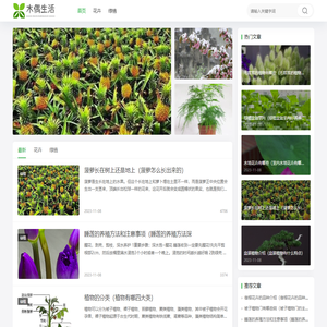 木偶生活号-花卉绿植蔬菜水果知识站
