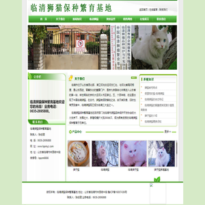 狮猫,临清狮子猫,山东狮猫-临清狮猫保种繁育基地