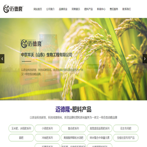 中京丰沃（山东）生物工程有限公司,菌肥,冲施肥系列,花生专用肥,高氮提苗返青肥