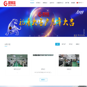 深圳市数码龙电子有限公司