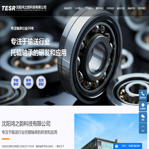 托辊专用轴承_托辊轴承_滚筒专用轴承_沈阳鸿之韵科技有限公司