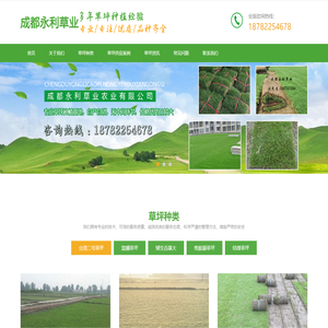 成都永利草业-台湾二号_矮生百慕大_混播草皮/草坪种植基地