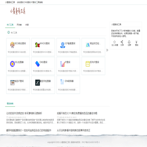 小露查询工具
