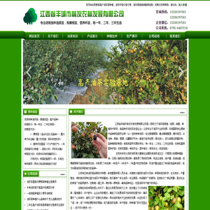 油茶苗_油茶苗价格_高产油茶苗批发 - 丰城市林友农林发展有限公司
