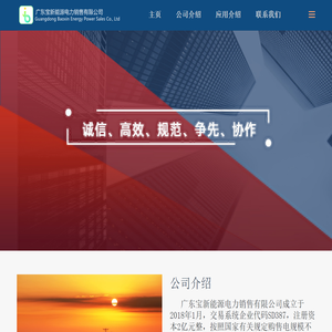 广东宝新能源电力销售有限公司
