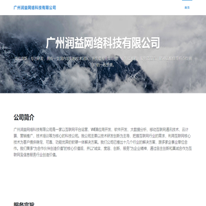 官网 - 广州润益网络科技有限公司